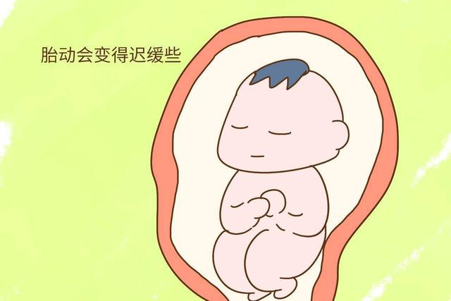 试管婴儿图片