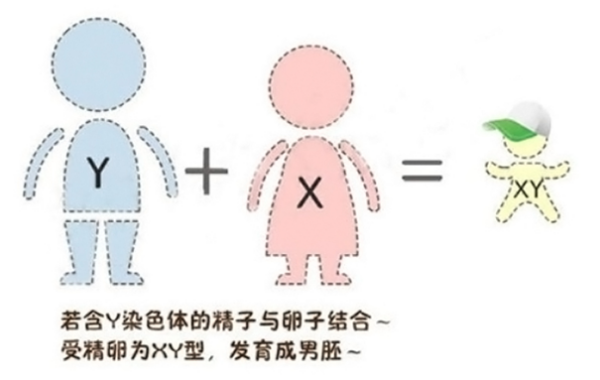 04d84e0e4e0fde4f70e36d7427b79a49a288f.png