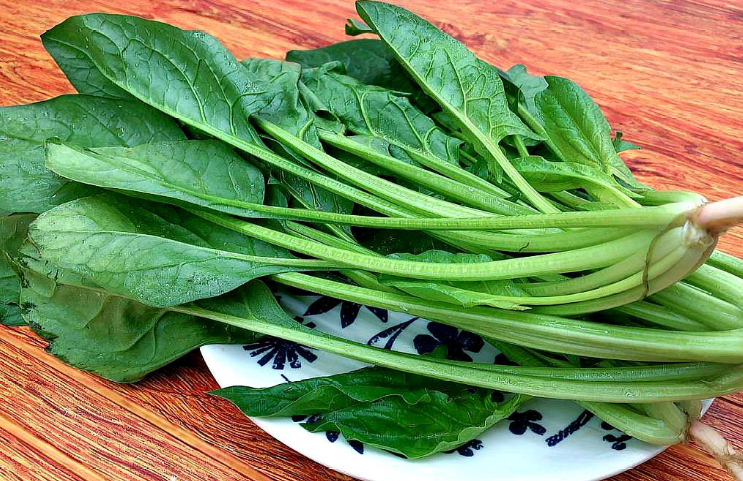 吃菠菜可以促进经血流出