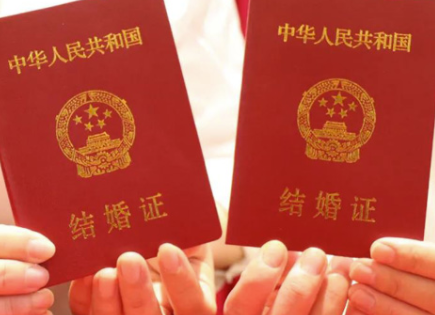 本人没结婚证想做试管.png