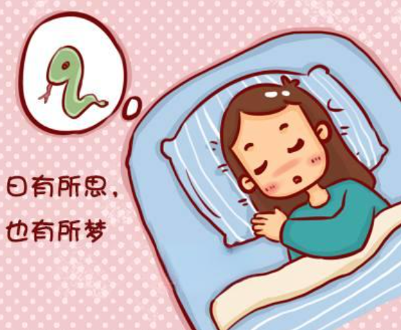 孕妇梦到蛇和生活经历有关