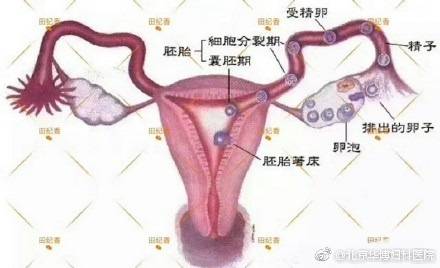 b2f74d2d-578f-4767-8e45-3c79cb3c3e48