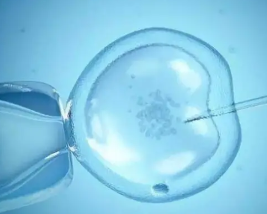 试管移植成功率因人而异