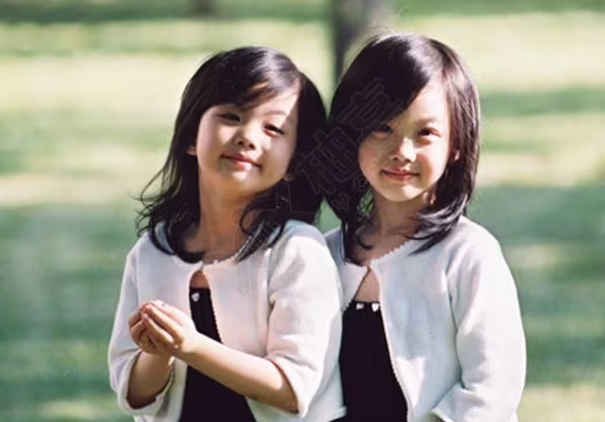 马来西亚试管双胞胎.png
