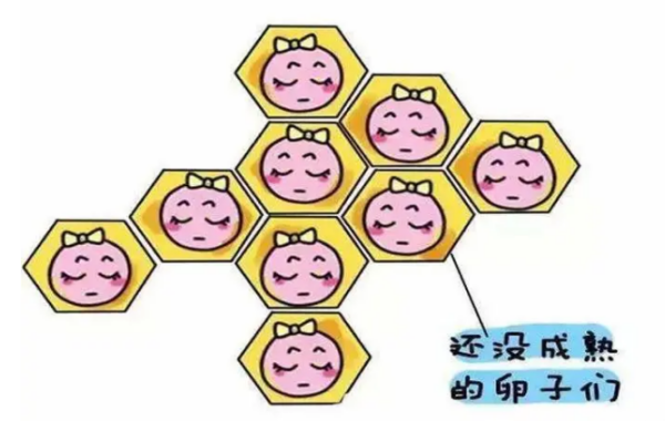 超促排卵监测排卵和诱发排卵