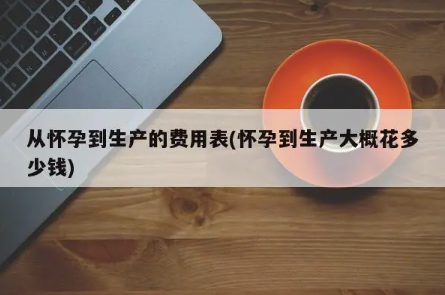 从怀孕到生产的费用表