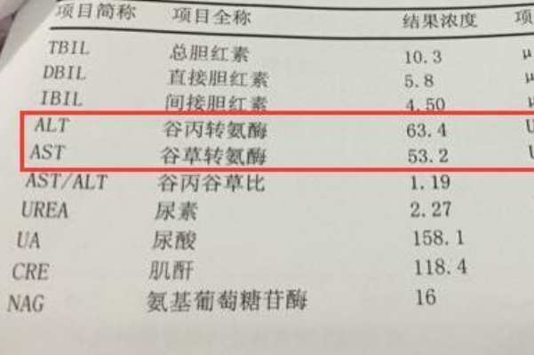 转氨酶升高一个月后会下降