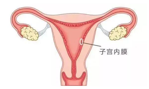 同天检查内膜厚度不一样
