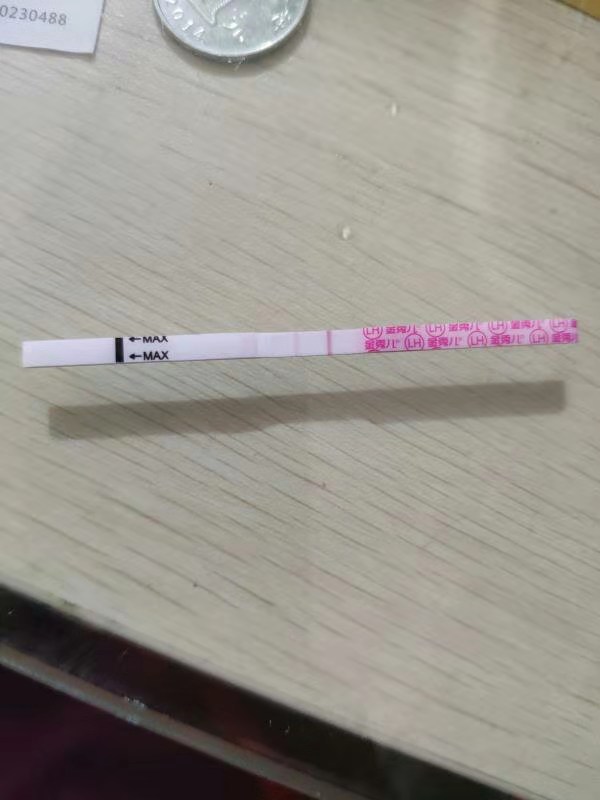 试管婴儿图片
