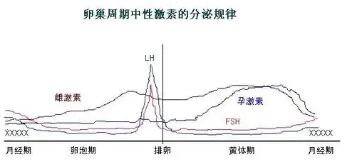激素六项怎么看卵巢功能好坏.png