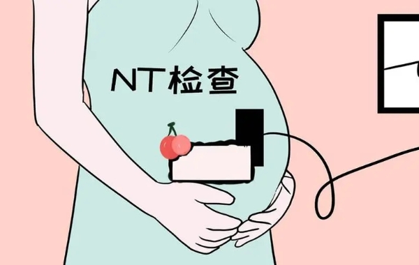 孕28周nt胎心率低于170绝对是女孩不准
