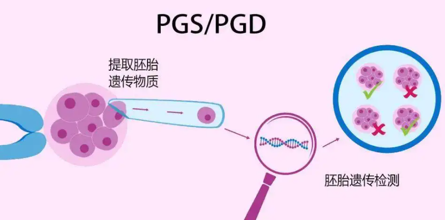 成都第三代试管婴儿哪家好.png