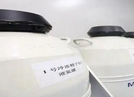 冻精.png