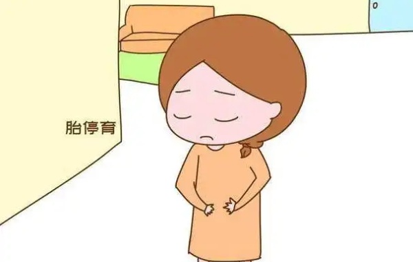 孕酮低不能为胎儿的成长发育提供足够的养分