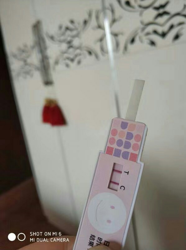 试管婴儿图片