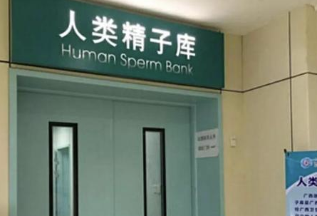 未婚女性为什么不能用精子库