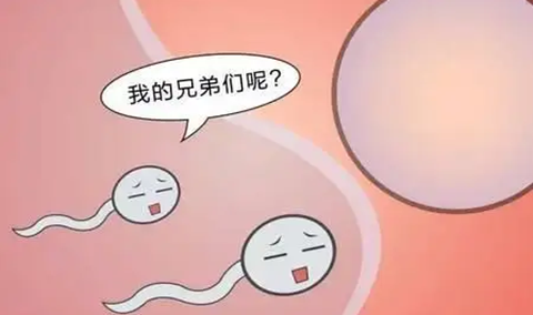 {W45IPP4PWO%LVQFXY7}~HV.png