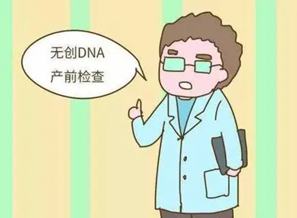 无创dna可以评估胎儿发育情况