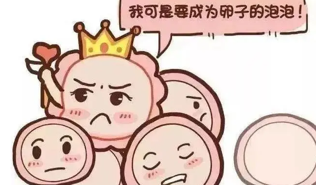 高龄备孕怎样提高卵泡状态.png