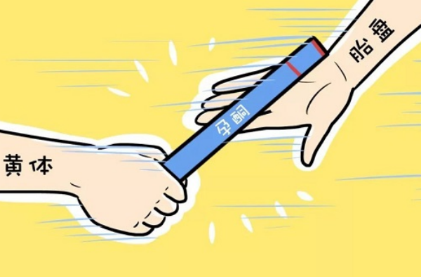 补充孕酮的常见方法