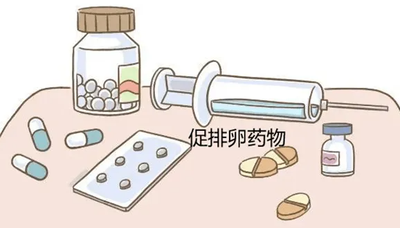 促排试管需要注意什么.png