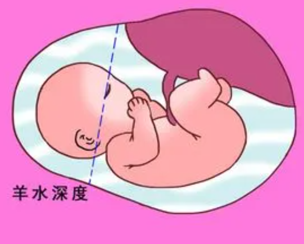 羊水能为胎儿提供氧气