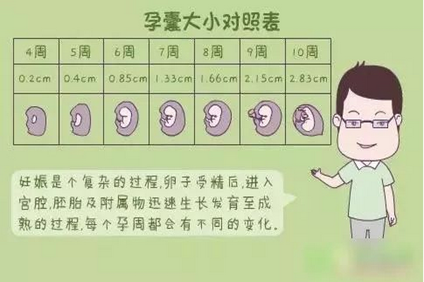 什么是孕囊大小对照表