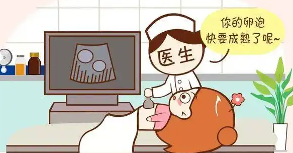 促排试管.png