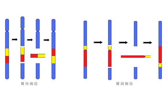 话题图标