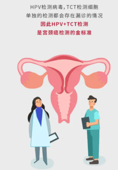 tct和hpv有什么区别.png