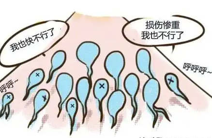 精子顶体酶活性低说明什么.png
