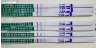 宫外孕试纸.png