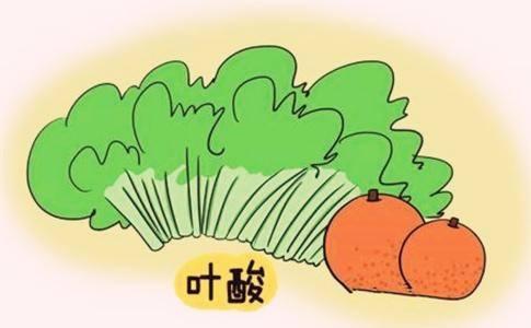 叶酸1.jpg