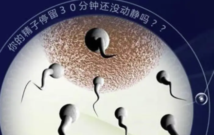 男性无精做试管有几种方案
