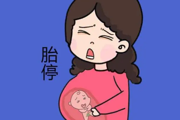 染色体异常的胚胎会导致胎停