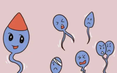 禁欲半个月的精子适合怀孕吗