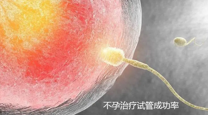 不孕治疗试管成功率.png