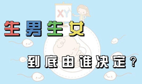 生男生女是由男方还是女方决定的