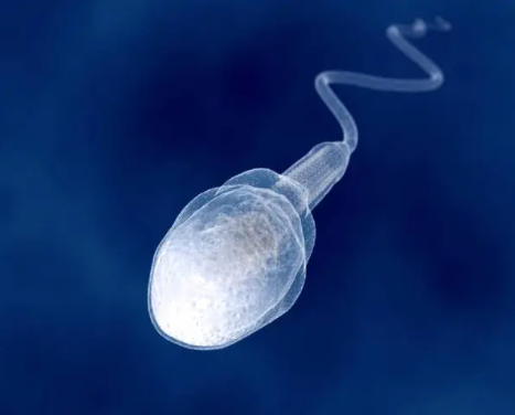 二代试管对男性精子有2大要求！质量A级未必是强制标准