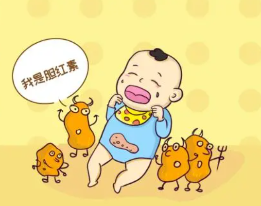 胆红素在体内积累会导致黄疸
