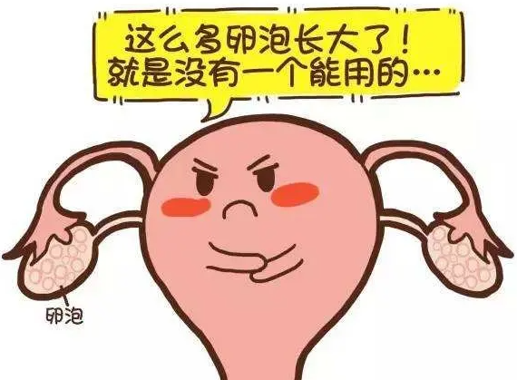 多囊可以做试管婴儿.png
