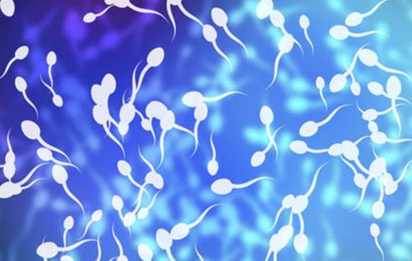 生男孩要禁欲多久精子质量好