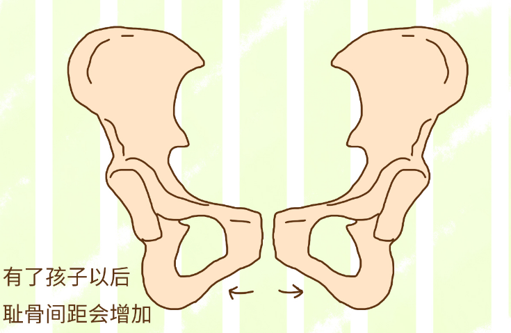 孕妇一般怀孕7个月开始耻骨疼