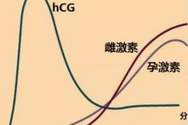 激素变化导致肛门坠痛