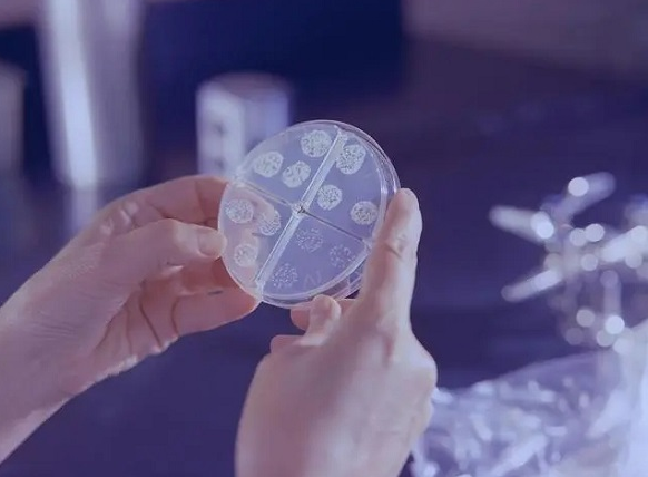 精子成活率低会影响试管