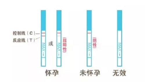u=2627136891,2611308277&fm=26&gp=0.jpg