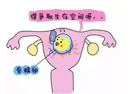 孕期怎么处理宫腔粘连1.png