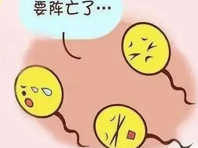 精子活动率低怎么办.png