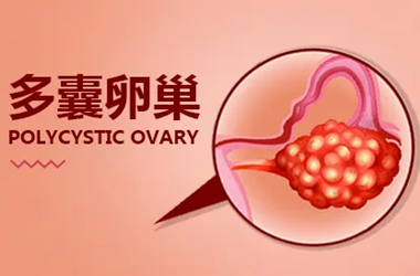 多囊促排后卵子太多要放弃