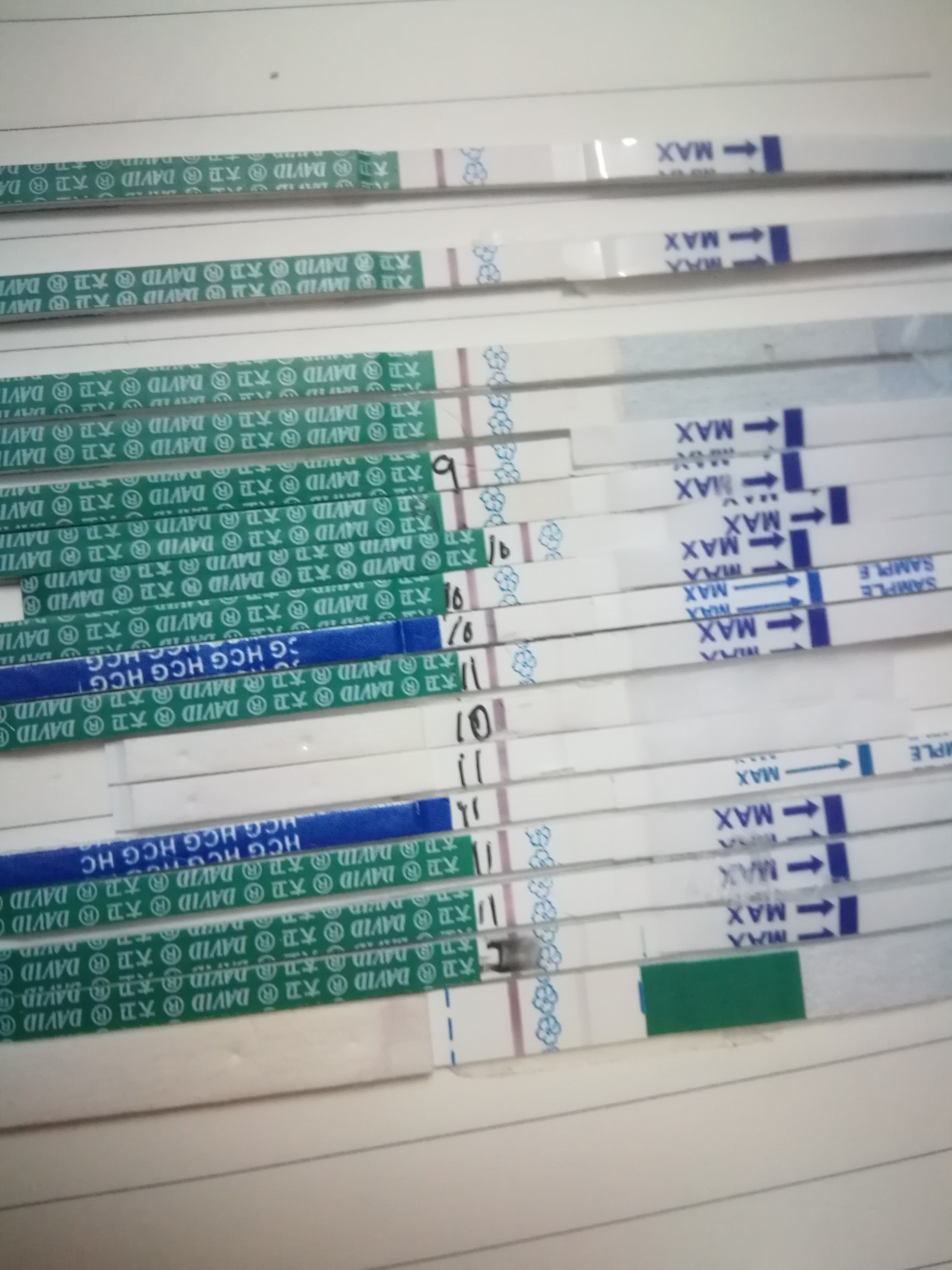 597ee957-b371-4fc2-b4c2-3554e060d6f1